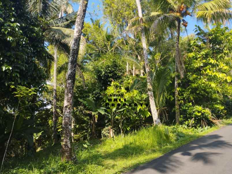 tanah jl banjar surabrata