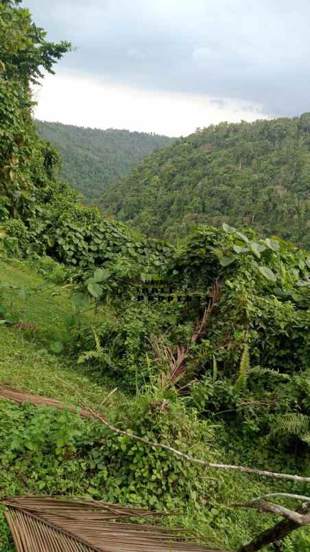 tanah jl banjar surabrata