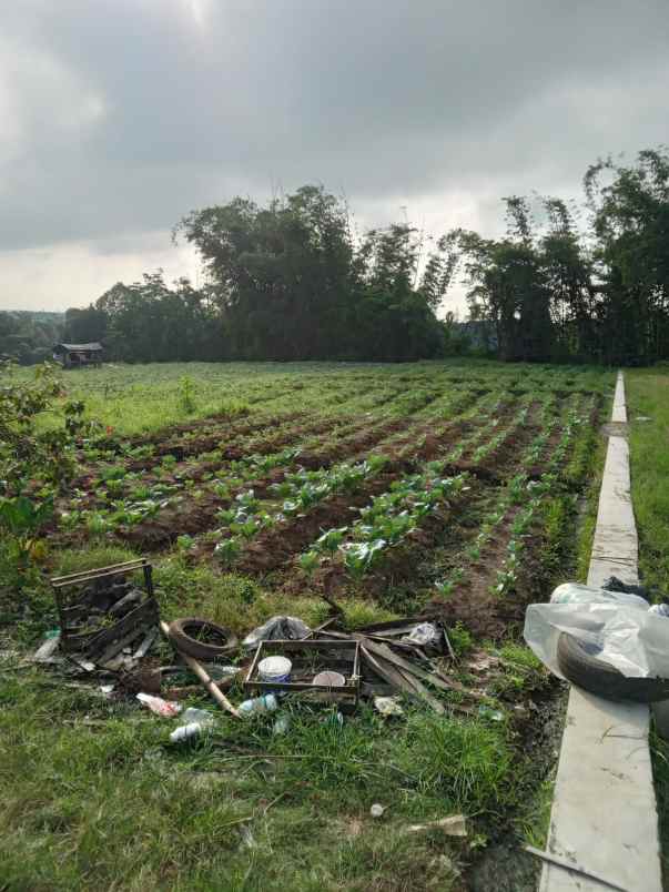 tanah kajang mojorejo batu