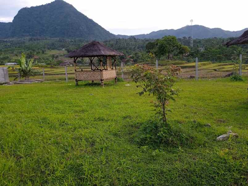 tanah kampung cikeruh desa
