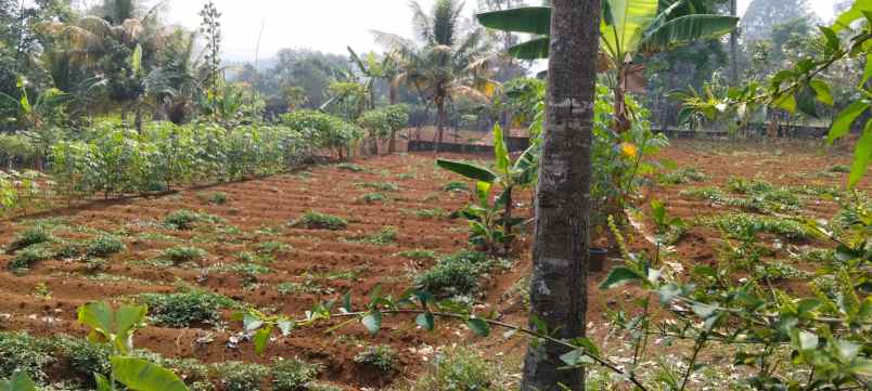 tanah kavling di megamendung puncak 1 065 m 3 453 m
