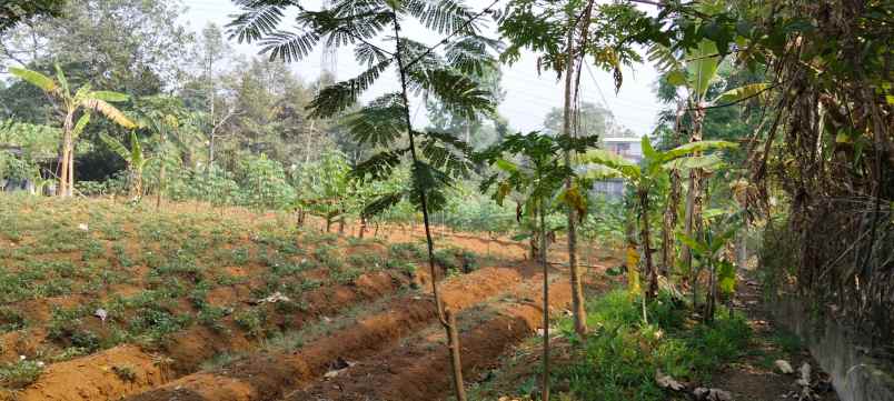 tanah kavling di megamendung puncak 1 065 m 3 453 m