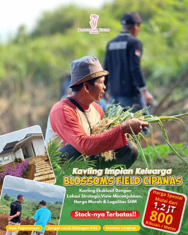 tanah kavling impian di sukaresmi cianjur