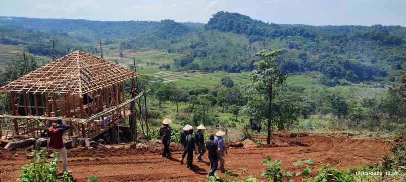 tanah kavling murah nuansa alam agro eduwisata