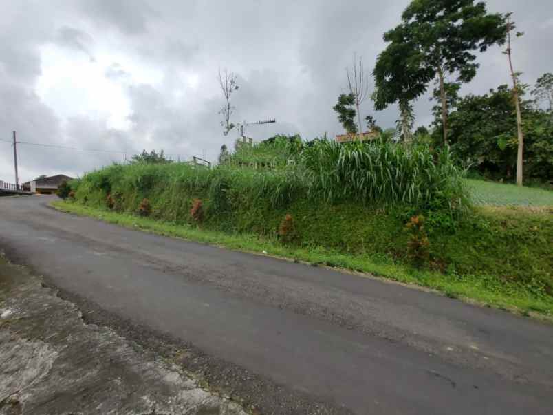 tanah kawasan wisata alam