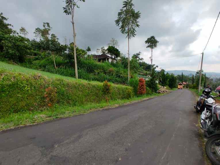 tanah kawasan wisata alam