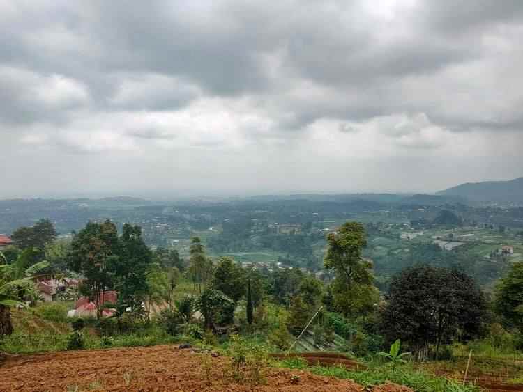 tanah kemuning ngargoyoso