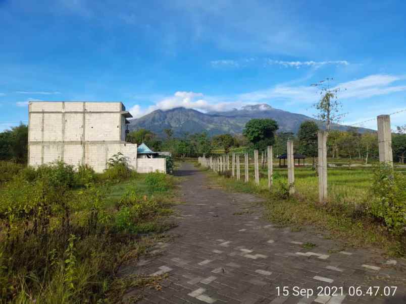 tanah ketanireng prigen pasuruan
