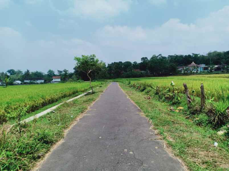 tanah mojogedang karanganyar