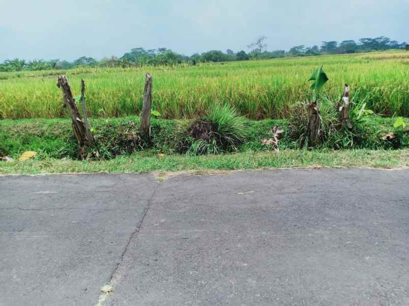 tanah mojogedang karanganyar