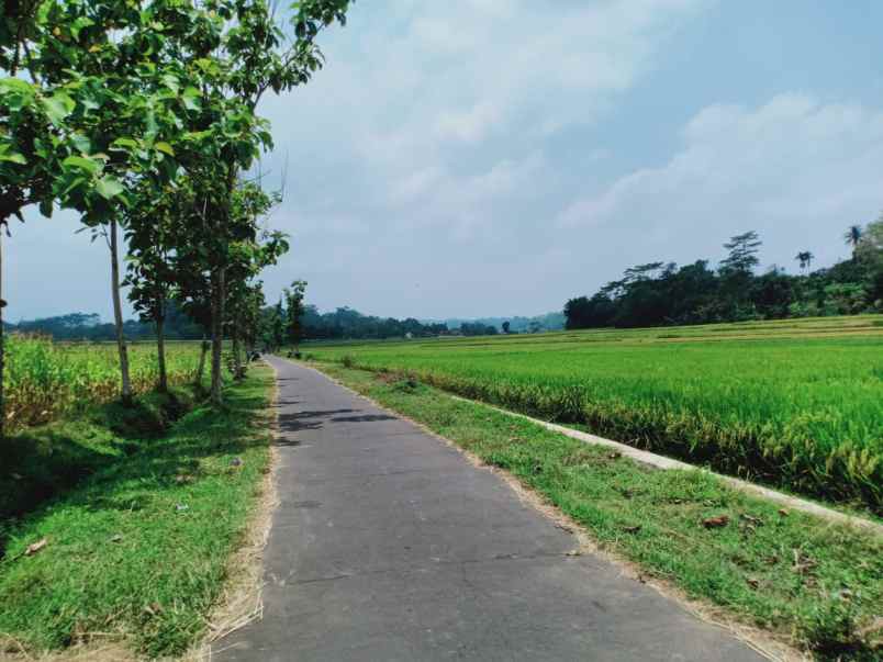 tanah mojogedang karanganyar