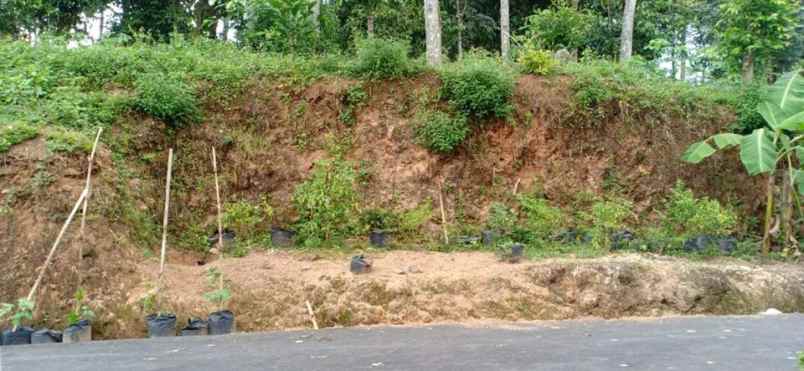 tanah mojogedang karanganyar