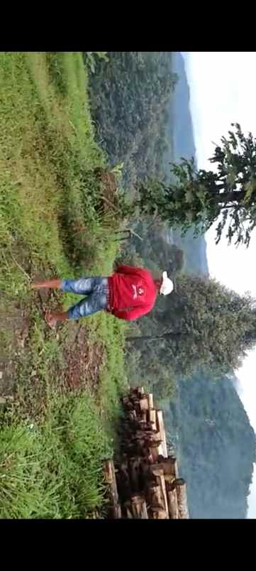 tanah murah kebun durian buah cigudeg bogor