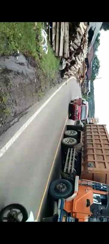 tanah murah kebun durian buah cigudeg bogor