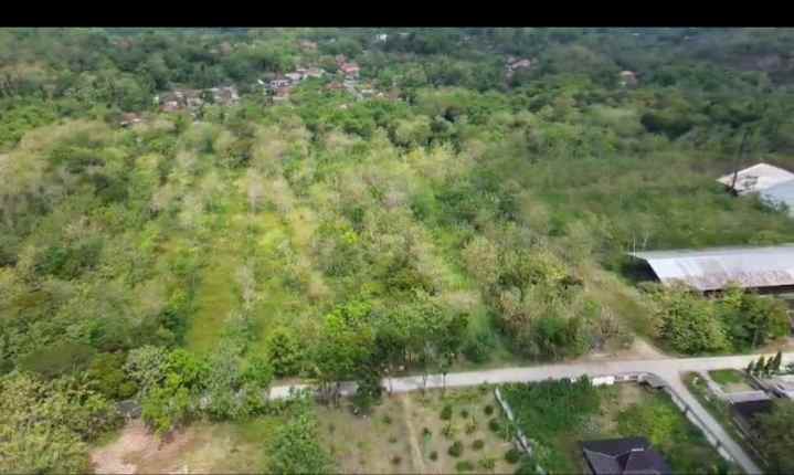 tanah murah untuk pabrik atau rumah sakit