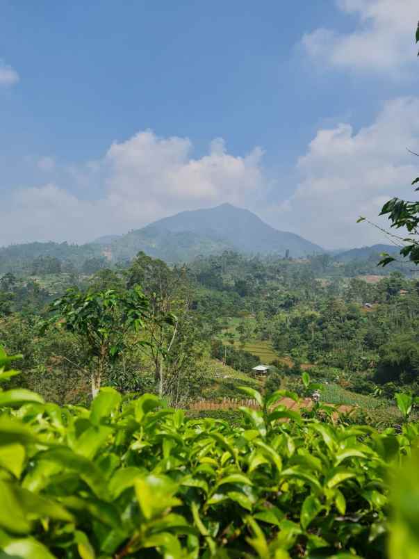 tanah murah view indah buat villa