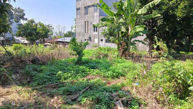 tanah ngatong bulusan tembalang ring 1 undip