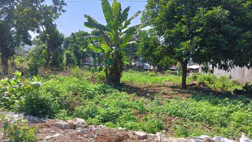 tanah ngatong bulusan tembalang ring 1 undip