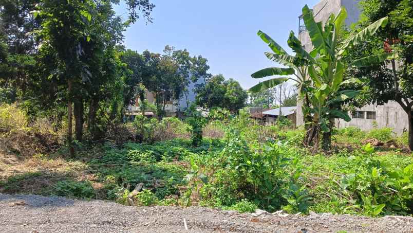 tanah ngatong bulusan tembalang ring 1 undip