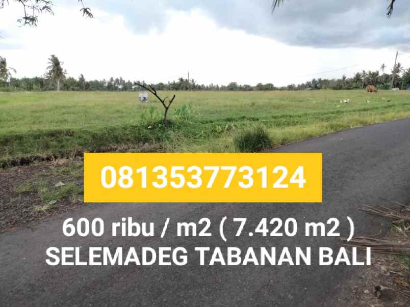 tanah selemadeg tabanan bali