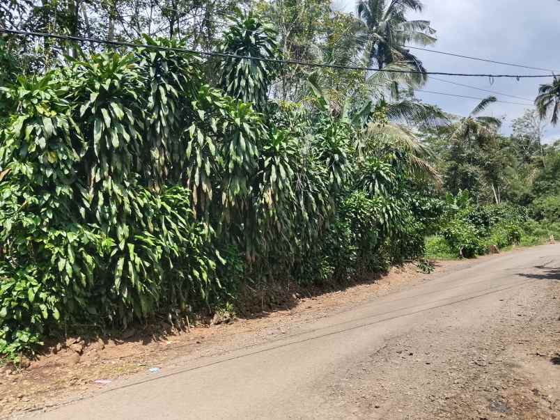tanah strategis daerah ciater subang jawa barat