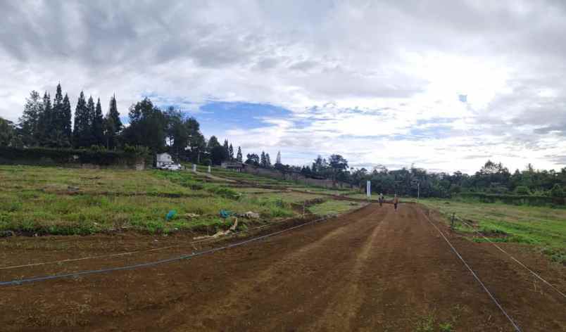 tanah sukamanah megamendung