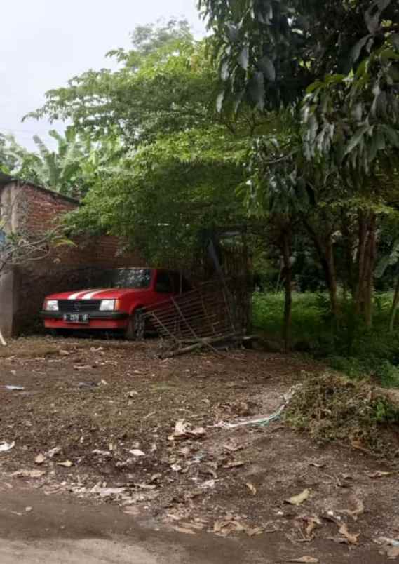 tanah sumber cirebon jabar