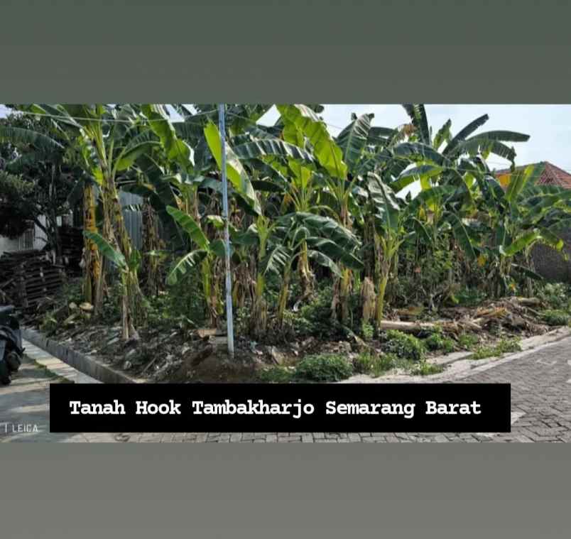 tanah tambakharjo semarang barat