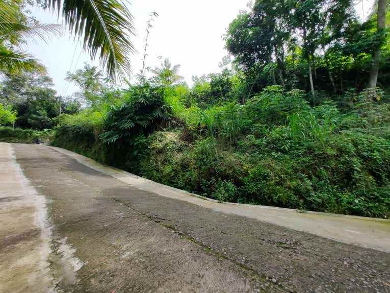 tanah tepi jl raya mojogedang