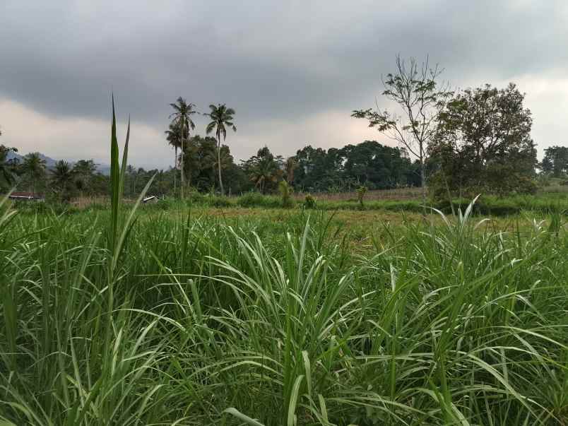 tanah untuk resort view tangkuban perahu ciater subang