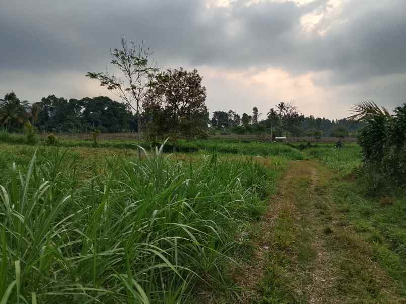 tanah untuk resort view tangkuban perahu ciater subang