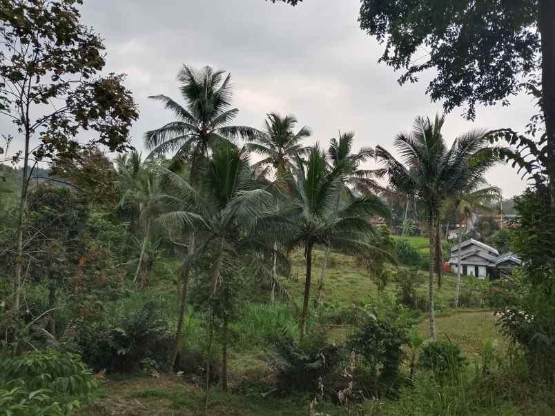 tanah untuk resort view tangkuban perahu ciater subang