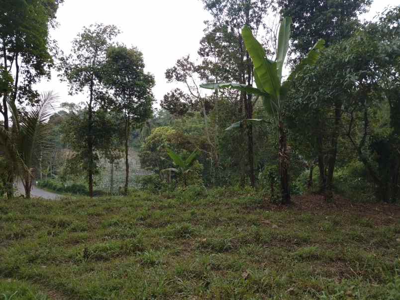 tanah untuk resort view tangkuban perahu ciater subang