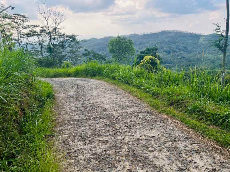 tanah view cantik 2000m 200jt jenawi karanganyar