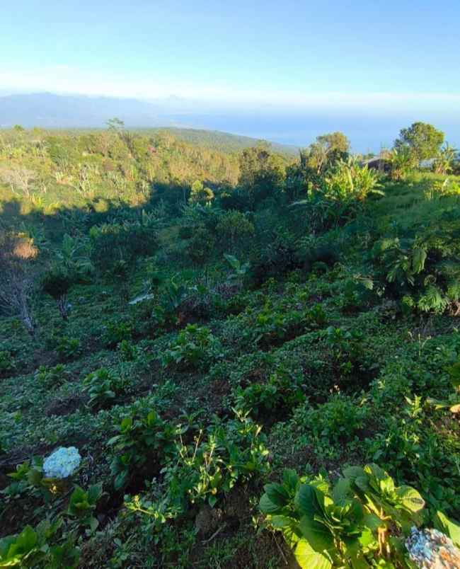 tanah view laut dekat munduk dan wanagiri bali