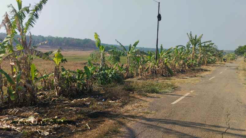 tanah zona industri subang