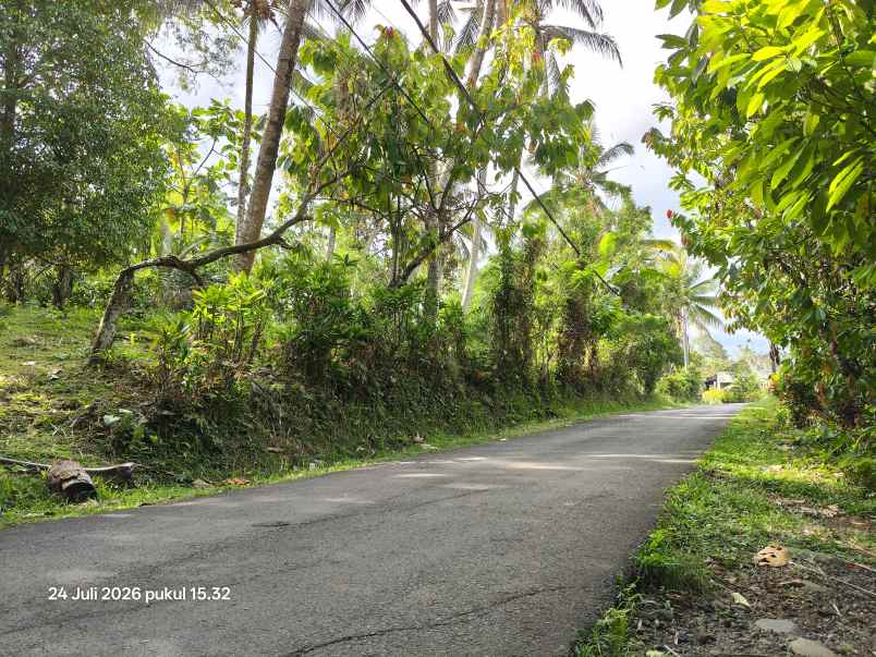 tanah zona kuning view sungai kecil di selemadeg bali