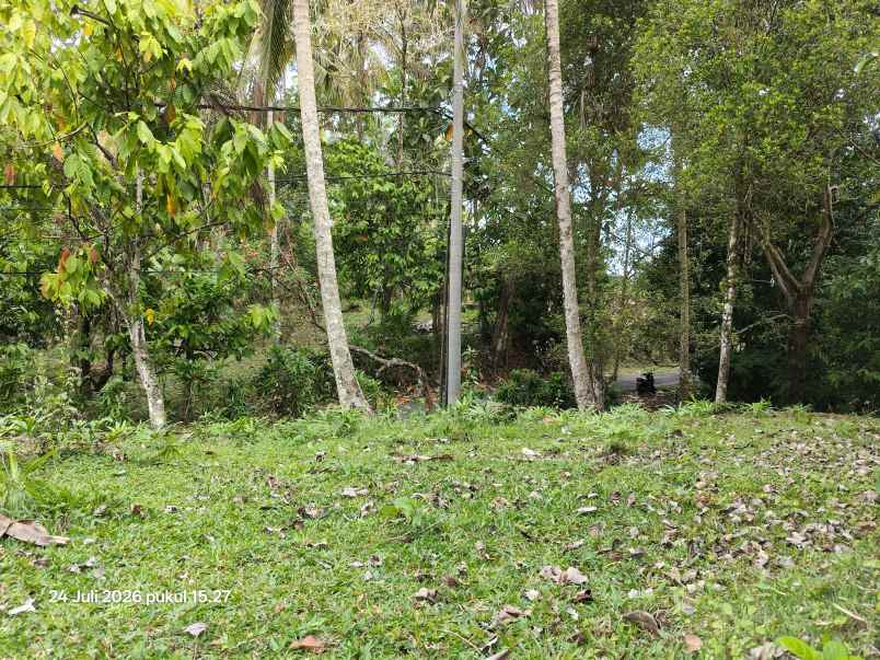 tanah zona kuning view sungai kecil di selemadeg bali