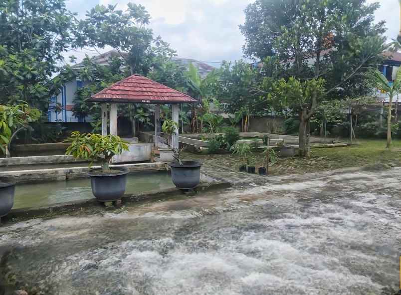 bangunan villa hitung tanah luas di cigombong bogor