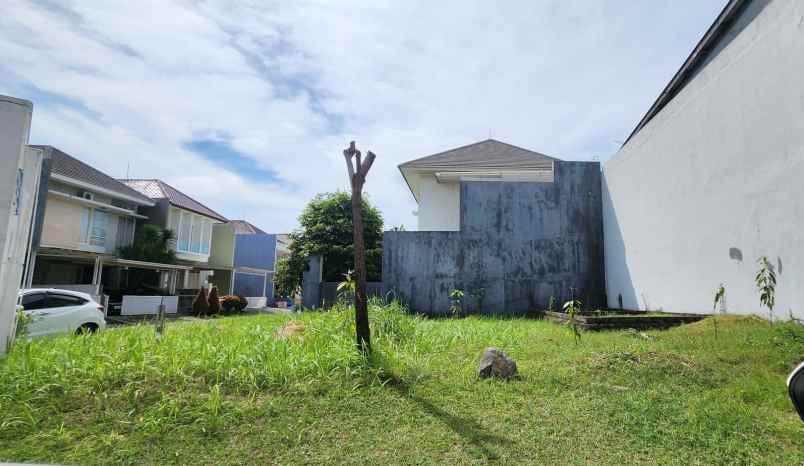 barang langka murah tanah hook di kertajaya