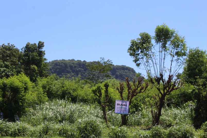 bwi a 438 dijual tanah di desa kalipuro