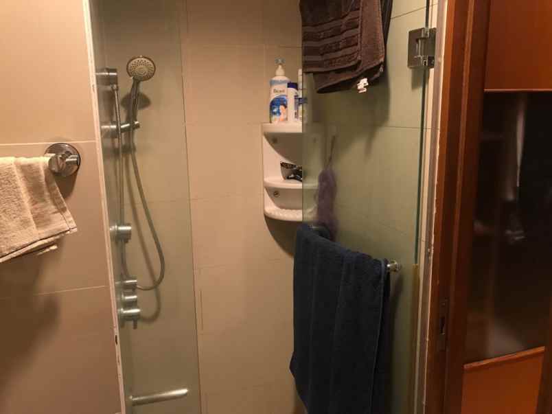 dijual apartemen menteng dalam