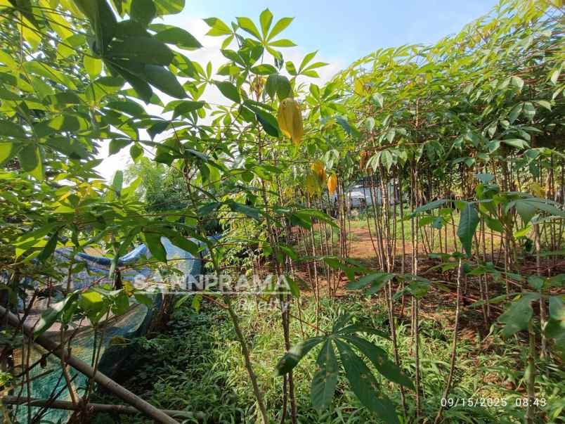 dijual kavling di grogol limo depok total luas 538m2