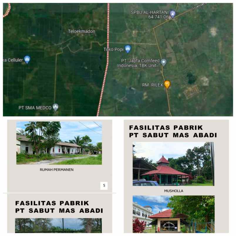 dijual pabrik sawit dan kebun di kalimantan tengah