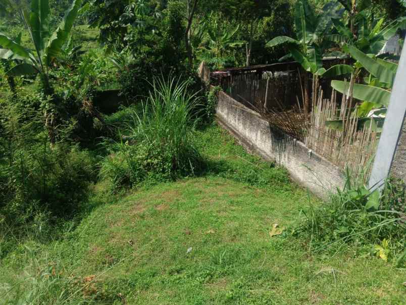 dijual ruko gudang kantor nangkasari 2