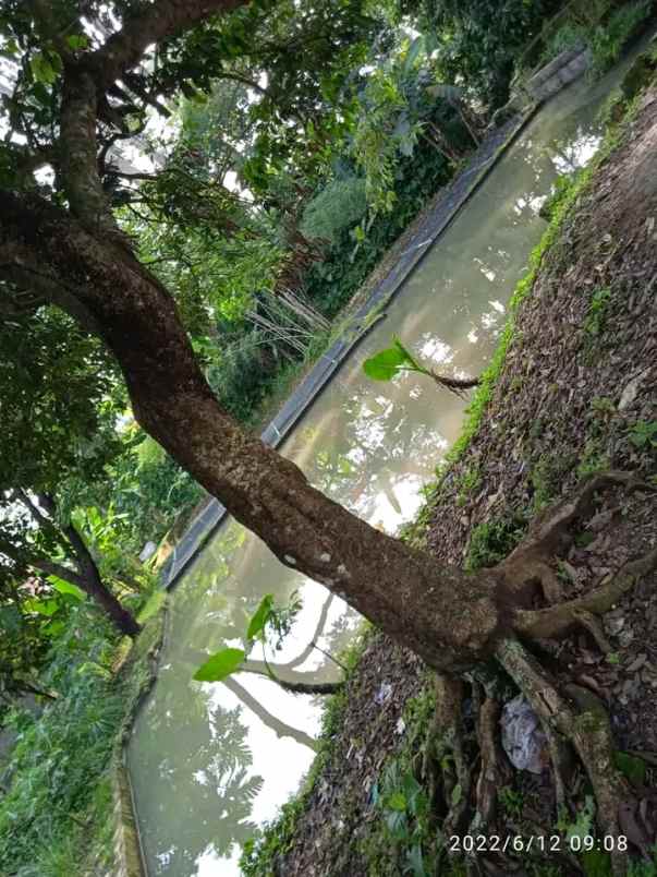 dijual rumah cibungbulang bogor