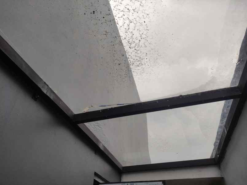 dijual rumah ciomas bogor