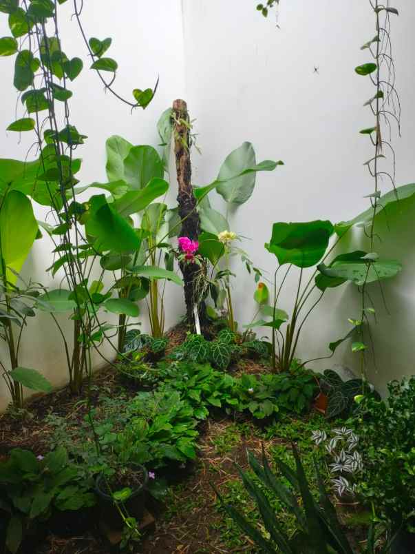 dijual rumah cluster my home arcamanik