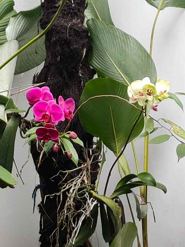 dijual rumah cluster my home arcamanik