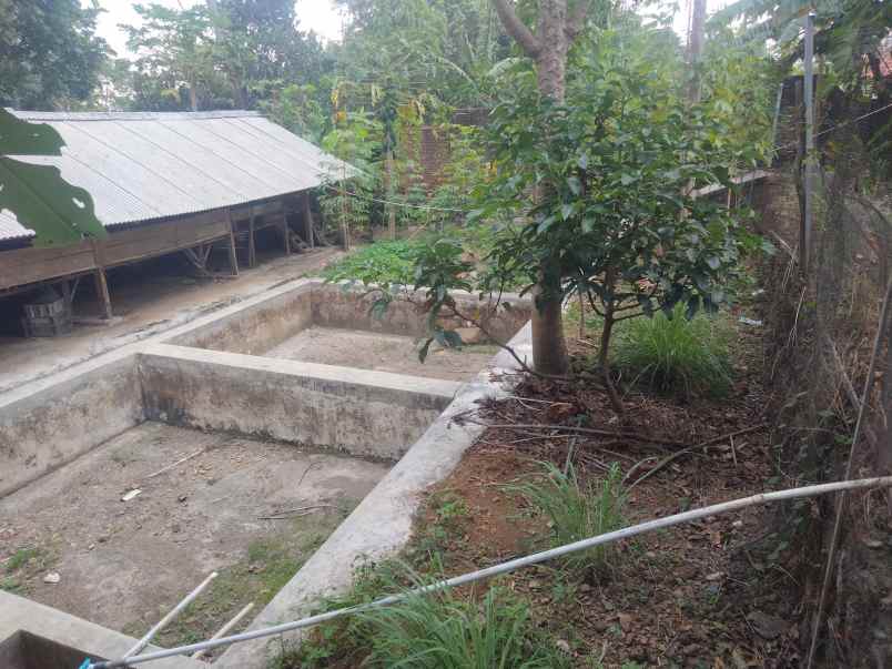 dijual rumah dgn halaman depan dan belakang luas